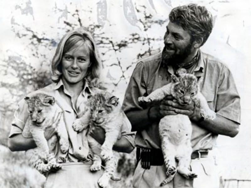 The Adamsons in Born Free